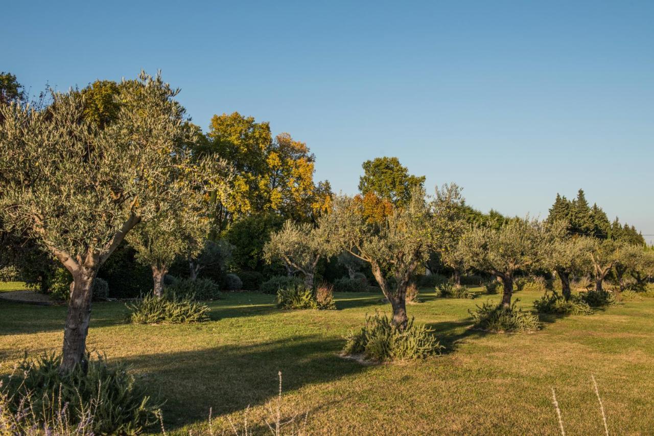 Clos Saint Estève Le Thor Extérieur photo
